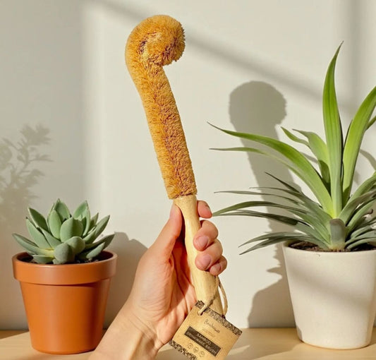 Cleaning Brush